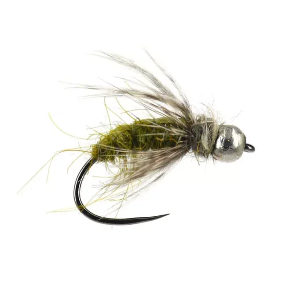 Ales TG Olive Caddis Larva BL ninfa tungsteno