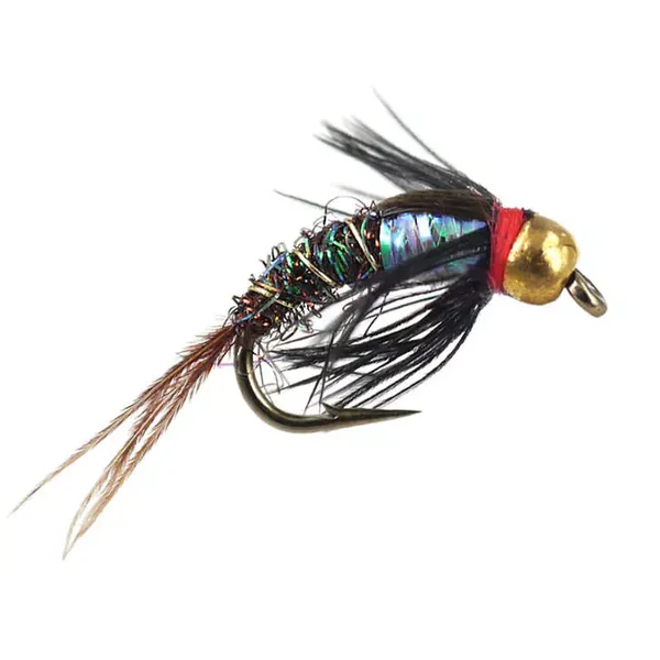 Ales TG Rainbow Pheasant ninfa tungsteno