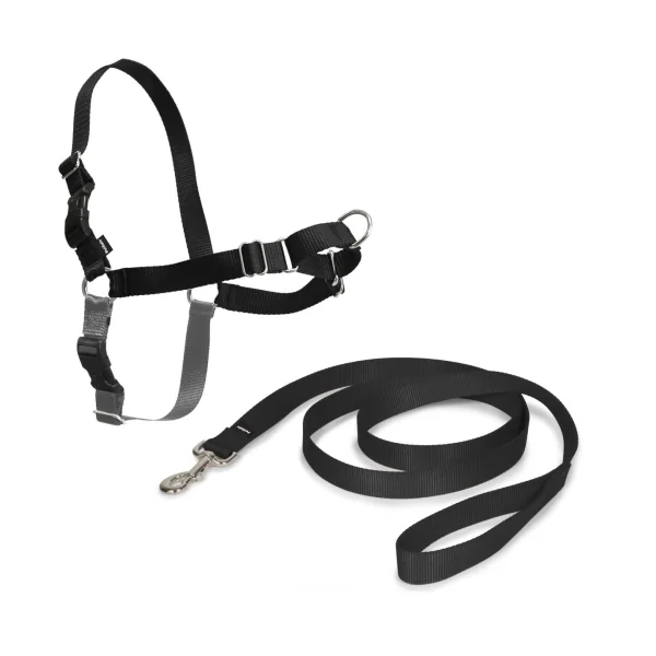 ARNES EASY WALK MEDIANO. NEGRO