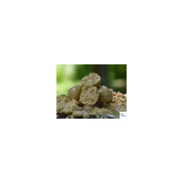 AROMA DE AJO - Imagen 4