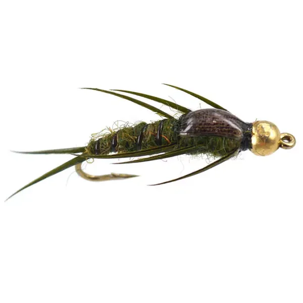 Bead Head Olive Epoxy Stonefly ninfa plecóptero