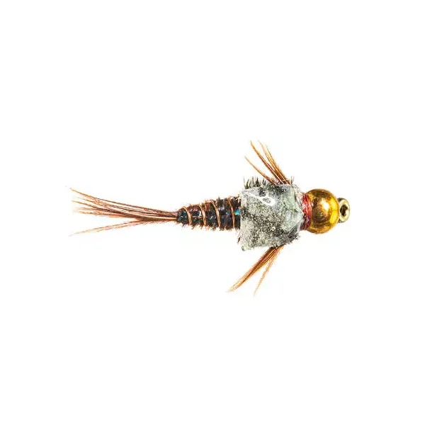 BH Sparkle Back Pheasant Tail ninfa con bola - Imagen 2