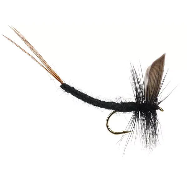 Black Gnat Extended Body Mayfly mosca seca