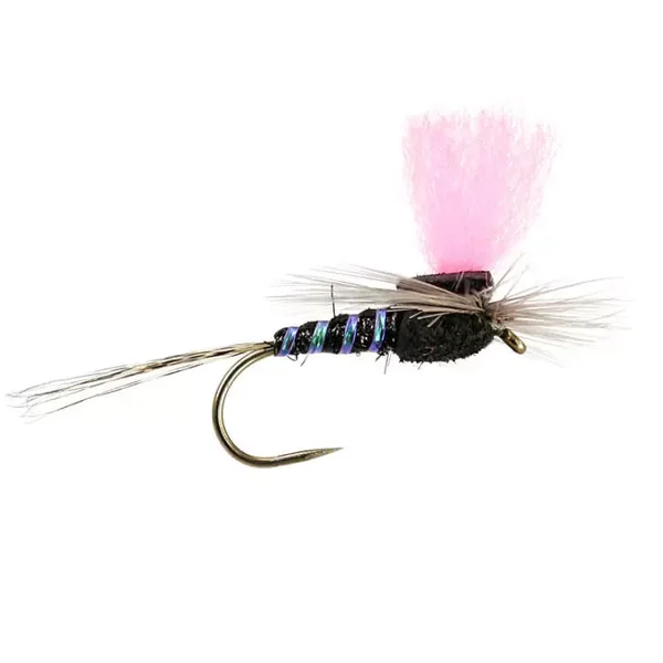 Black High-Viz Paradream BL mosca seca