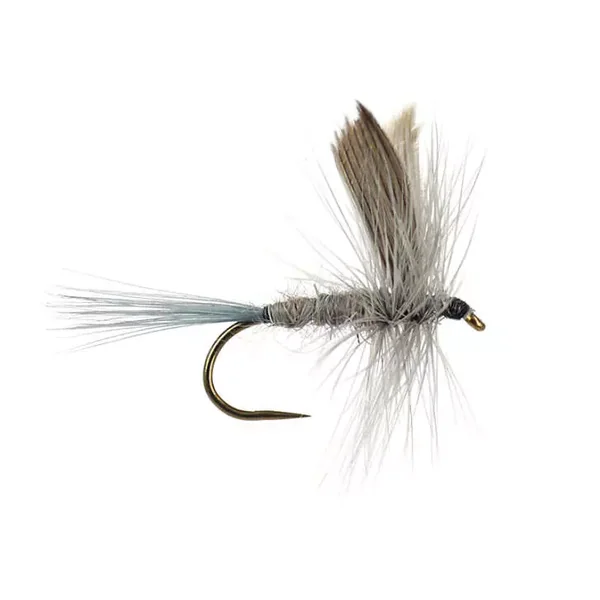 Blue Dun BL mouche sèche
