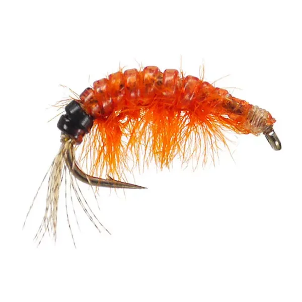 Body Glass Gammarus Orange ninfa