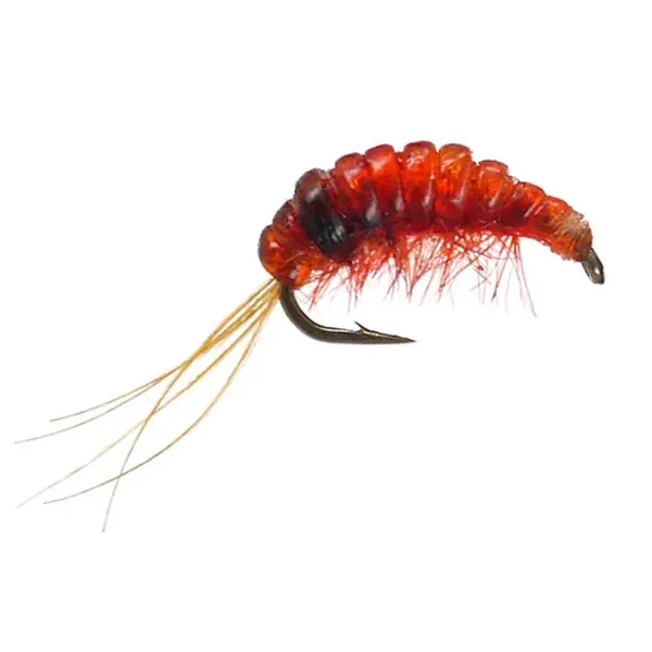 Body Glass Gammarus Red ninfa