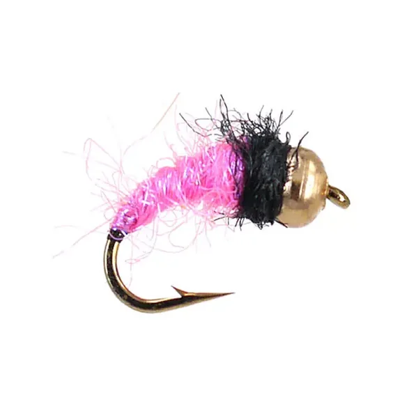 Bright Pink Nymph Messingkopfnymphe