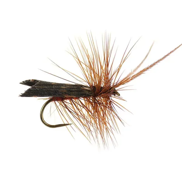 Brown Horned Roof Wing BL mouche sèche