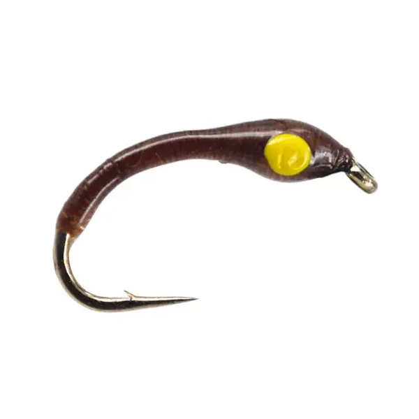 Brown Yellow Hot Spot Buzzer ninfa