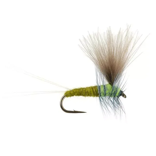 Bwo Dun 01 mosca trucha tímalo