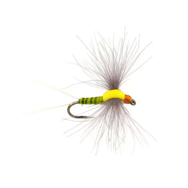 Bwo Dun 02 mosca trucha tímalo