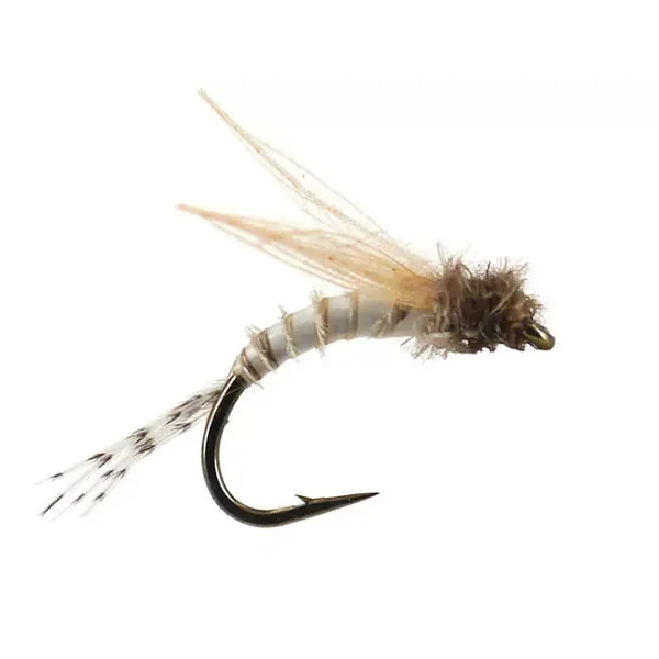 Bwo Emerger 01 mosca trucha tímalo