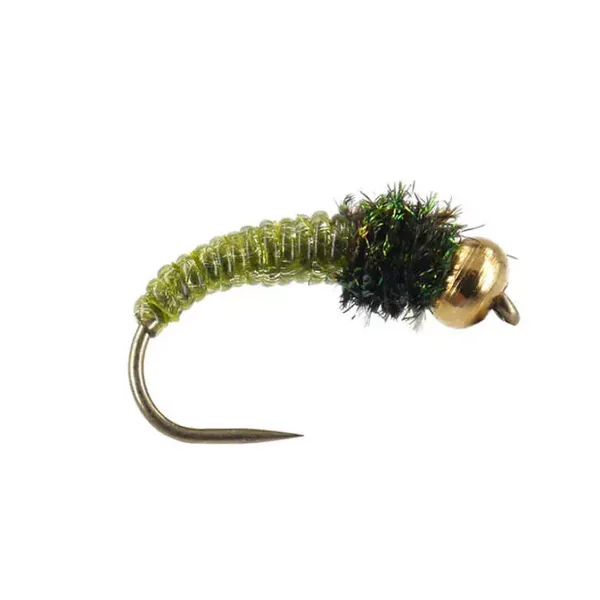 Caddis Larva Olive BL ninfa con bola