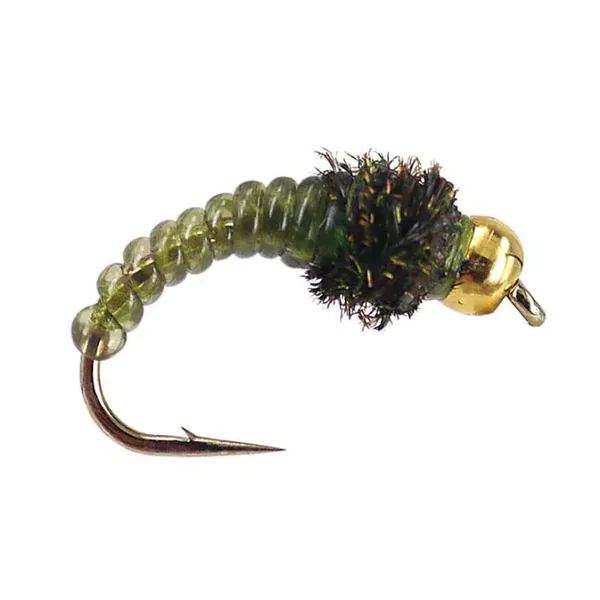 Caddis Larve Olive ninfa con bola