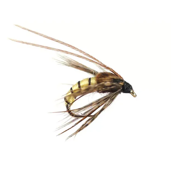 Caddis Pupa Cream ninfa