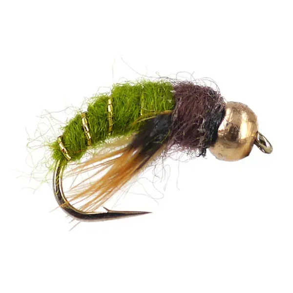 Caddis Pupa Olive ninfa con bola
