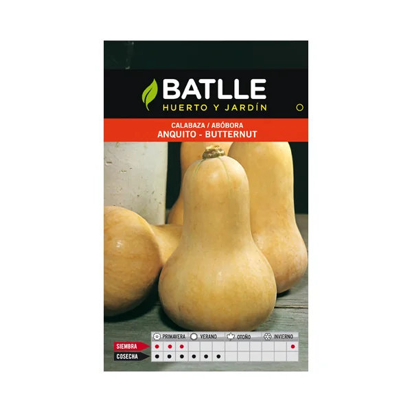 CALABAZA ANQUITO-BUTTERNUT SOBRE