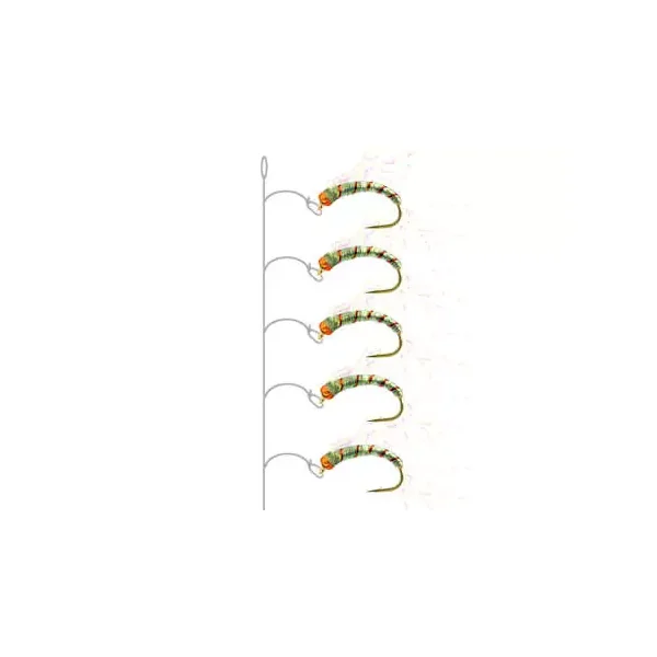 Camolera Alosa agone CRYSTAL WING
