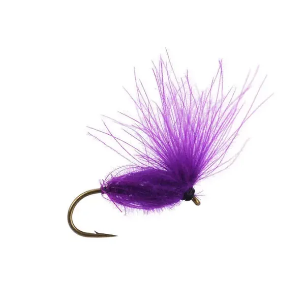 CDC Arpo - Violet mosca seca