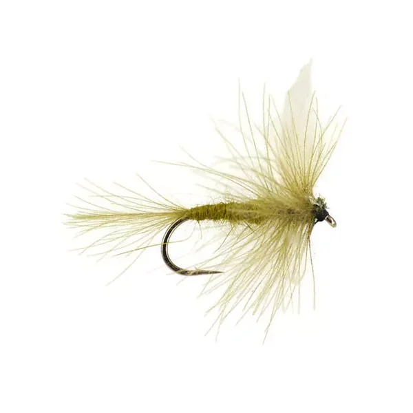 CDC Blue Winged Olive Dry mosca seca
