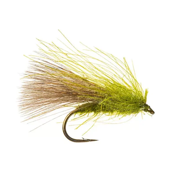CDC Caddis - Olive mosca seca