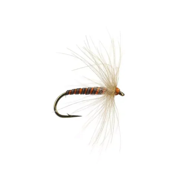 CDC Croupion De Canard mosca seca