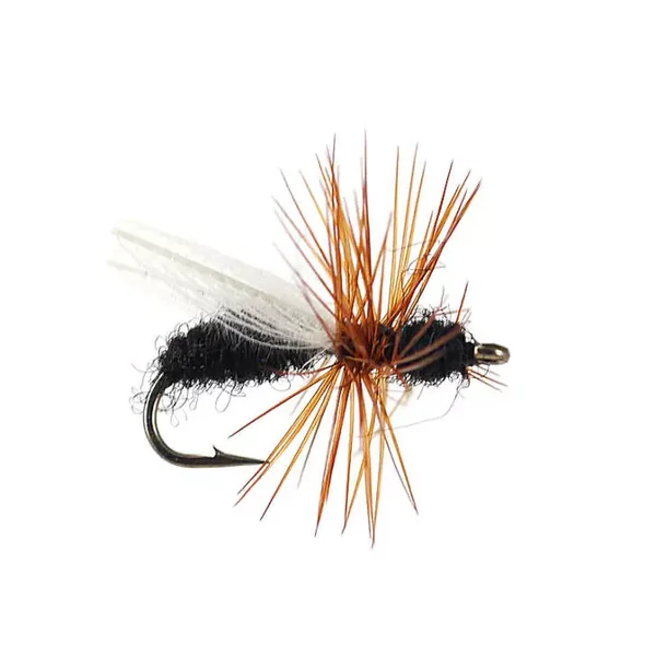 CDC Flying Ant Black hormiga