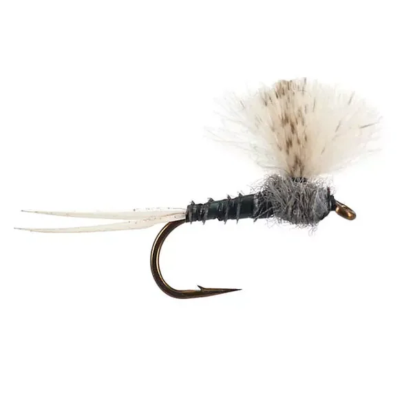 CDC Grey Baetis mosca seca