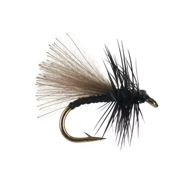 CDC Hackled Black mosca seca