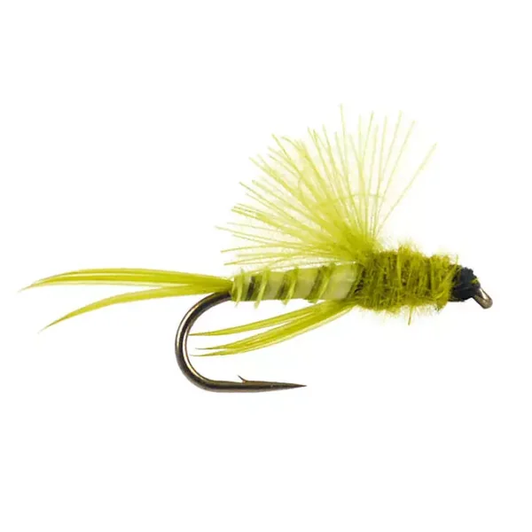 CDC Little Surface Nimph - Medium Olive mosca seca