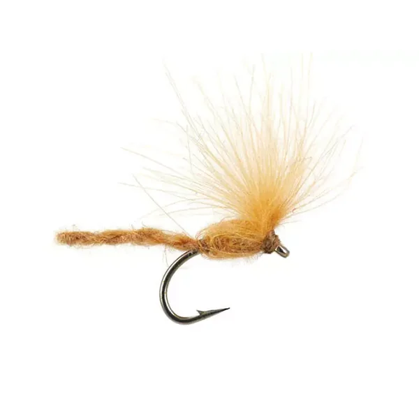 CDC Nyakinama - Tan mosca seca