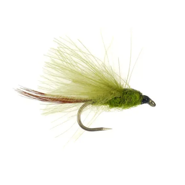 CDC Olive BL mosca seca