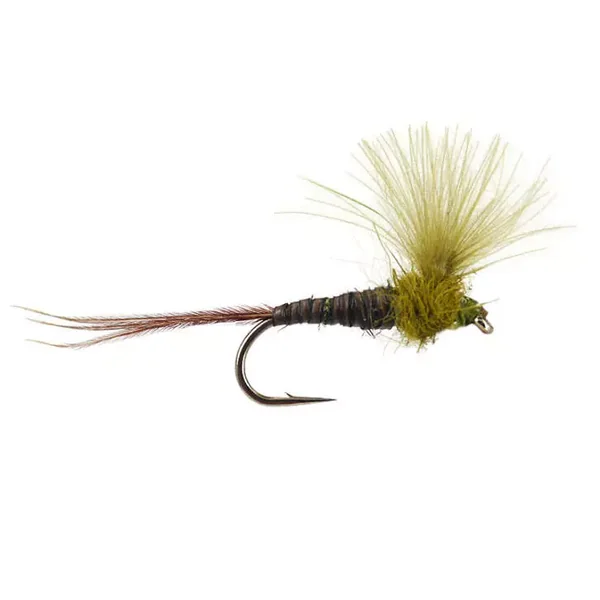 CDC Quill Olive mosca seca