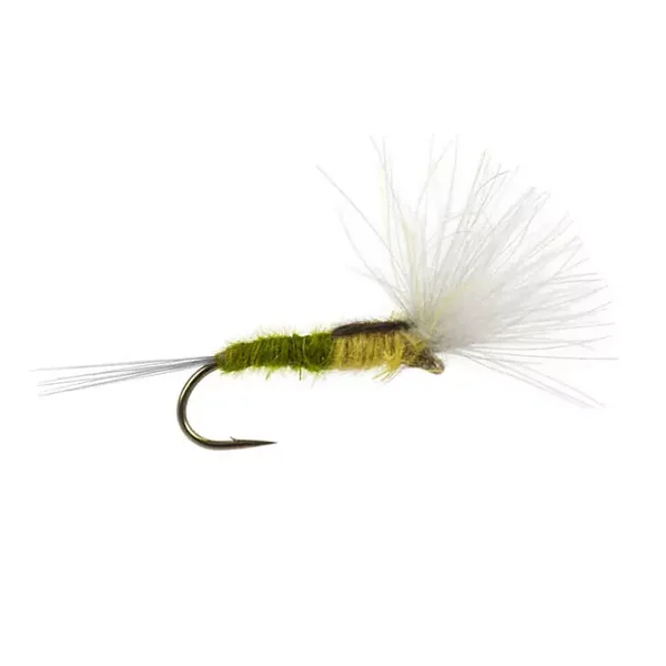 CDC Split Wing - Bwo mosca seca