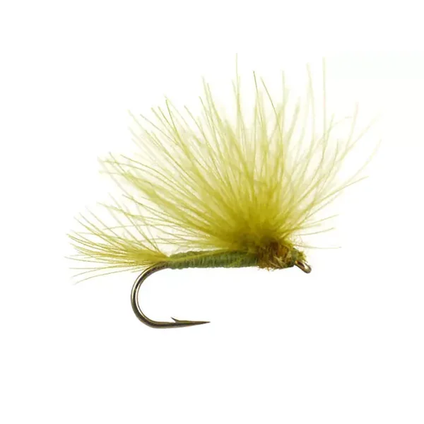 CDC Splitwing Olive mosca seca