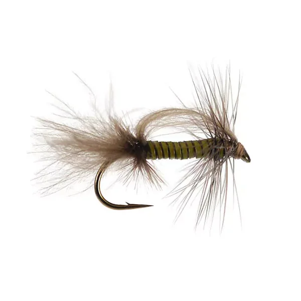 CDC Stillborn - Medium Olive mosca seca