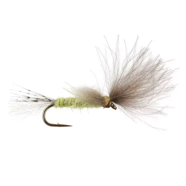 CDC Transition Dun - Pale Olive mosca seca
