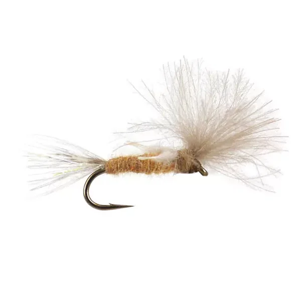CDC Transition Dun - Tan mosca seca