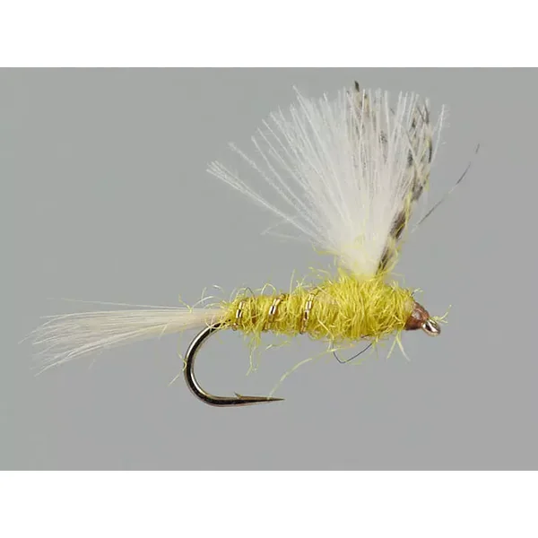 CDC Yellow Dun mosca seca