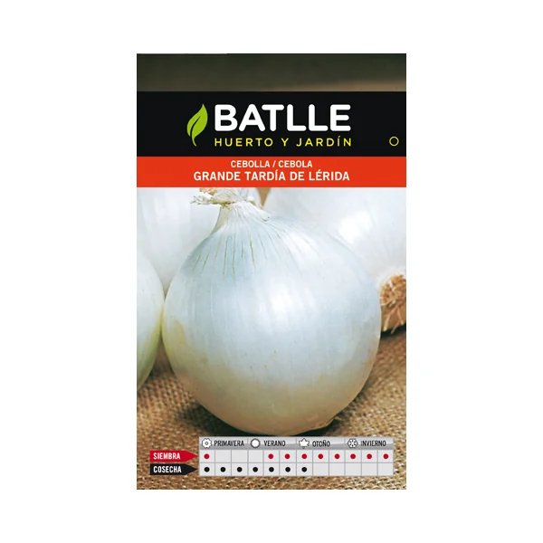 CEBOLLA GRANDE TARDIA DE LERIDA SOBRE