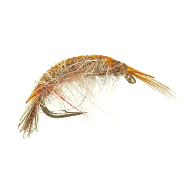 Classic Gammarus Olive ninfa