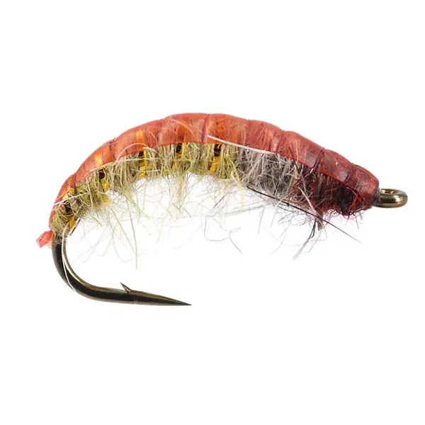 Czech Nymph Superb Terra ninfa checa