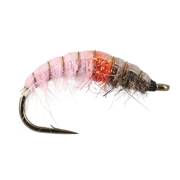 Czech Pink Lady ninfa checa