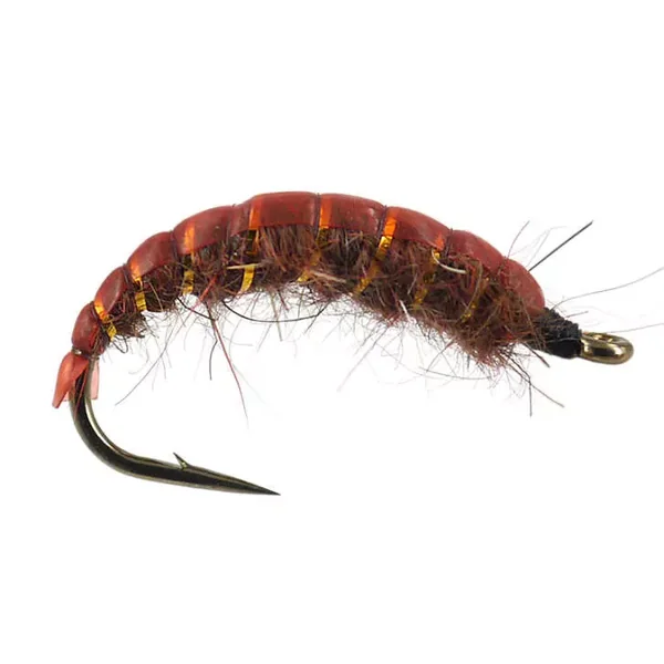 Dark Brown Ribbed Dream ninfa checa
