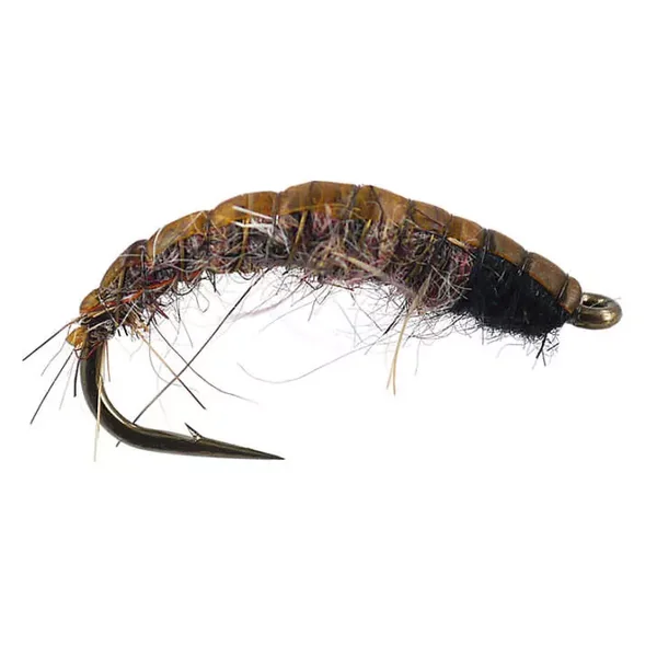 Dark Natural Czech Nymph ninfa checa