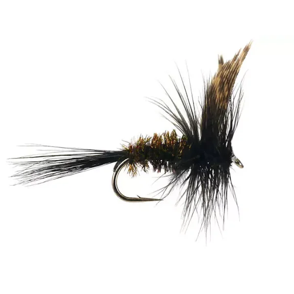 Dark Peacock Dry mosca seca