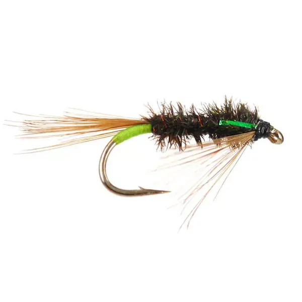 Diawl Bach Green ninfa