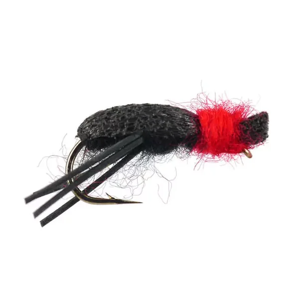 Foam Beatle escarabajo