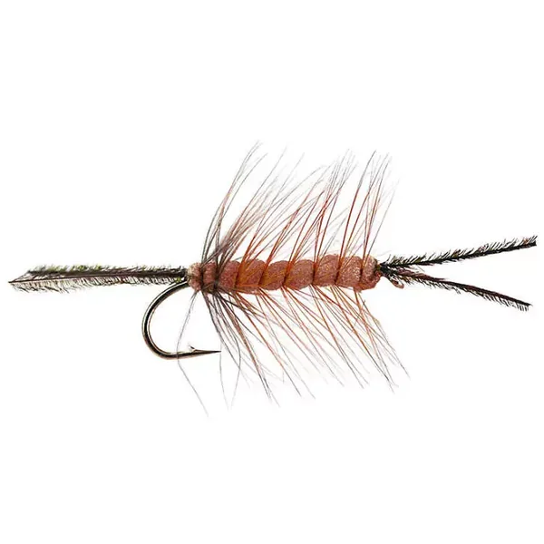 Foam Cata Pillar Brown oruga